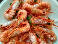 -普陀山风景名胜区-法雨禅寺