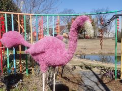 -荷兰花海