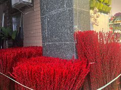 -溪岸路花鸟市场