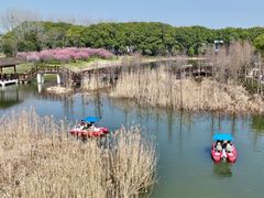 -同里国家湿地公园