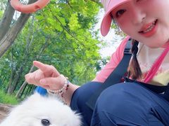 -白鹭湾湿地公园