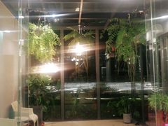 -外沙富龙城酒楼(老街店)