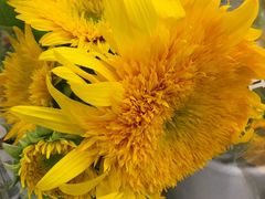 -鹿岛会员店 (龙湖三千集天街店)