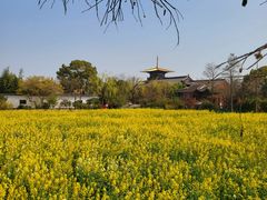 -广富林郊野公园