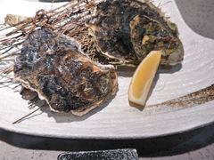 九十九岛岩蚝-隐初·SUSHI·美式日本料理