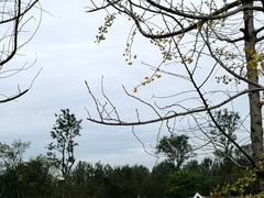 -府河摄影公园
