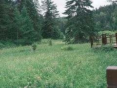 -长白山万达锦华套房酒店