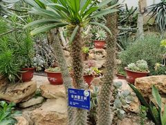 -国家植物园南园