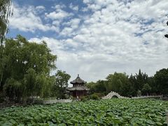 -莲池书院博物馆
