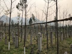 -西安关中民俗艺术博物院