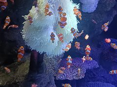 -沈阳海洋探索中心