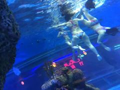 -大明湖海底世界