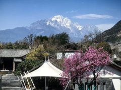 -时光吧·大堂吧·丽江和府洲际度假酒店