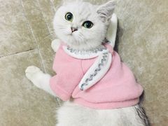 -联合动物医院(光谷诊疗中心)