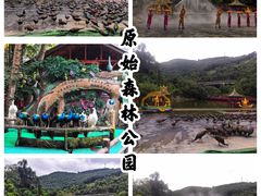 -西双版纳原始森林公园