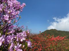 -大围山国家森林公园