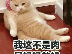 -江南大学-4食堂