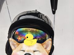 -亚布力新体委滑雪场