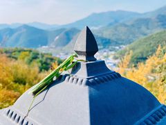 -潭柘厚院&山顶烤肉(潭柘寺店)