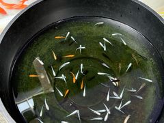 -青石桥花鸟鱼虫市场(叠翠城店)