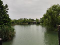 -洋湖国家湿地公园