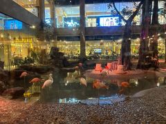 -白虎自助餐厅·真老虎·景观自助餐厅(广州长隆酒店)