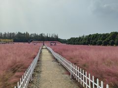 -嘉北郊野公园