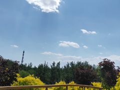 -东郊湿地公园