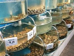 水产区-同道蒸汽海鲜烧烤自助(刘庄夜市店)