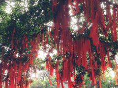 -黄埔古港