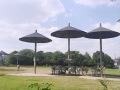 -宁波野生动物园