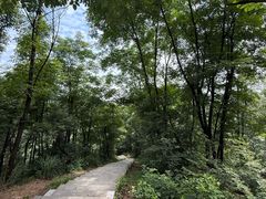 -桃花岭景区