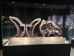 -正佳自然科学博物馆