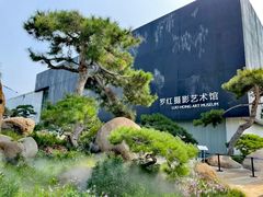 -罗红摄影艺术馆