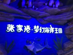 -梦幻海洋王国(吾悦广场张家港店)