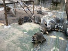 -杭州野生动物世界