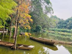 -深圳仙湖植物园
