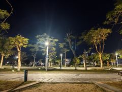 -万绿园