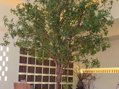 -静耳元気采耳·按摩·SPA(万象前海店)