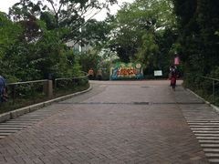 -九龙公园