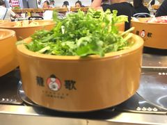 -龍歌自助小火锅(李沧丽达店)