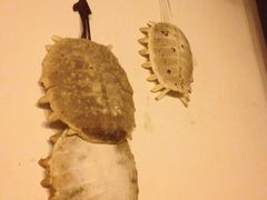 -文儒九号·闽菜馆(三坊七巷店)