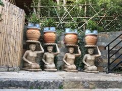 -云涛森林温泉