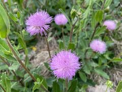 -南京金牛湖风景区