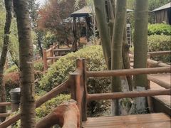 -马帮寨院坝火锅(龙港公园店)