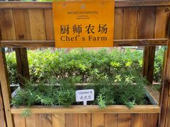 -昆明洲际酒店