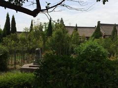 IMG_1362-法门文化景区