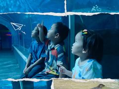 -北戴河圣蓝海洋公园