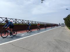 -日照海滨国家森林公园