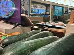 -得意咚瓜·顺德鱼生·冬瓜火锅(深圳首店)